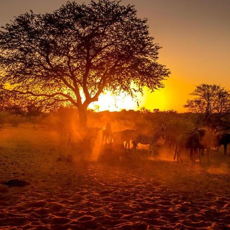 Bagatelle Kalahari Boutique Farmhouse Lodge มาเรียนทอล ภายนอก รูปภาพ